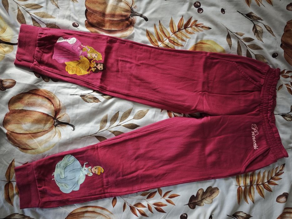 Dresy spodnie dresowe księżniczki Disney