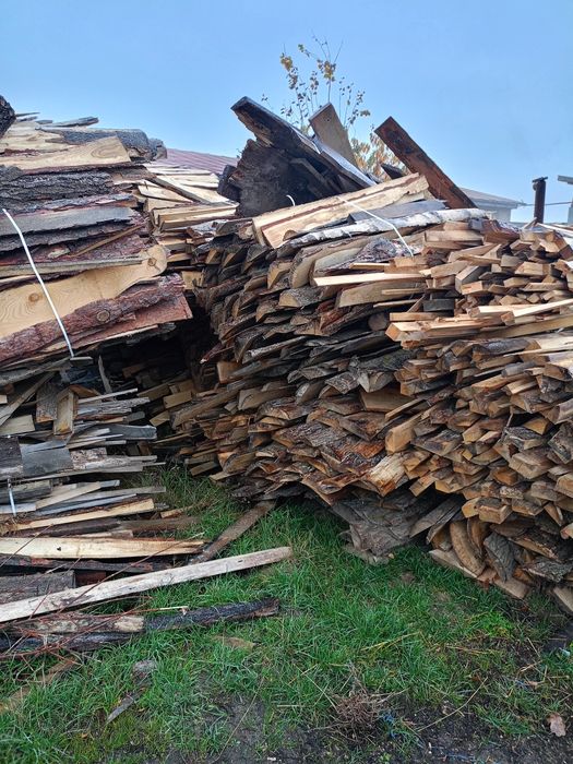 Opal dąb jesion topola