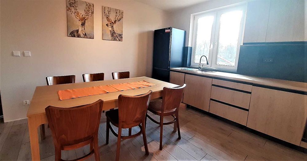 Domek letniskowy nad jeziorem Dadaj, linia brzegowa, pomost, łódki