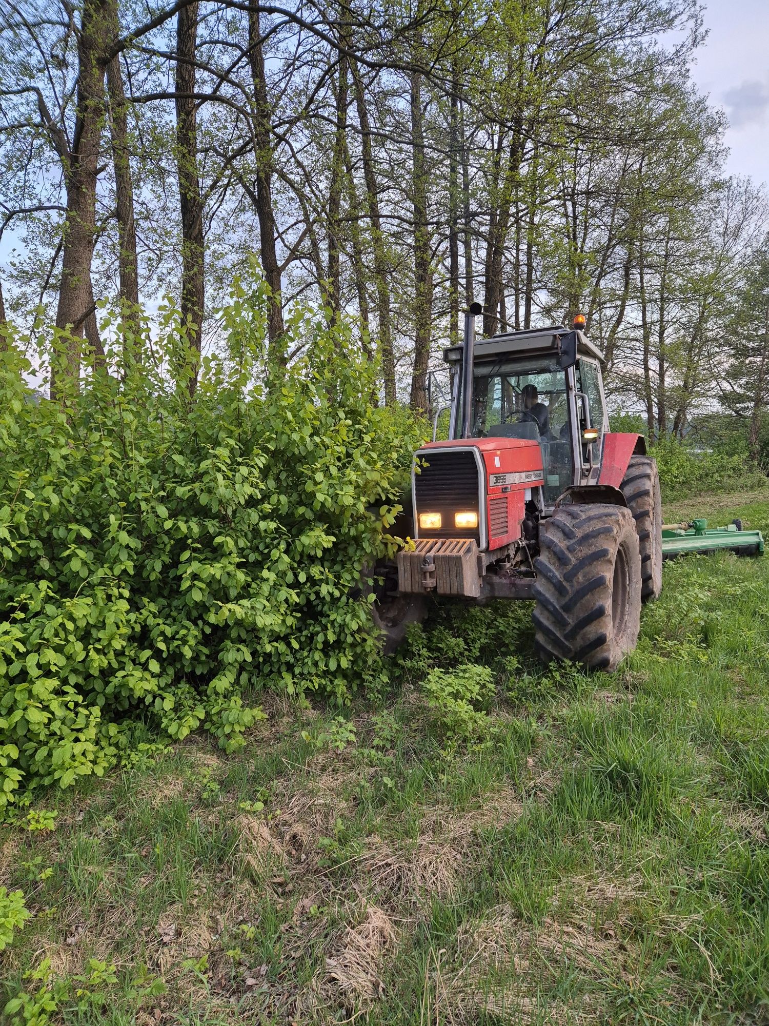 Mulczowanie nieużytków,scierniska, działki