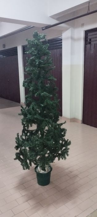 Árvore de natal de 1.9m