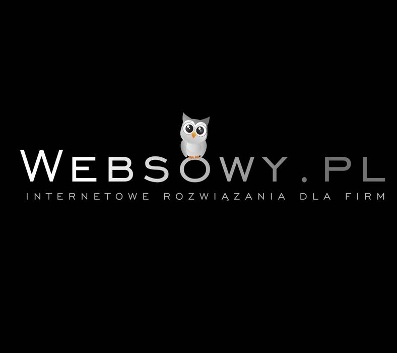 Strony internetowe z opieką techniczną od 200 zł! Raty 0% | Websowy.pl