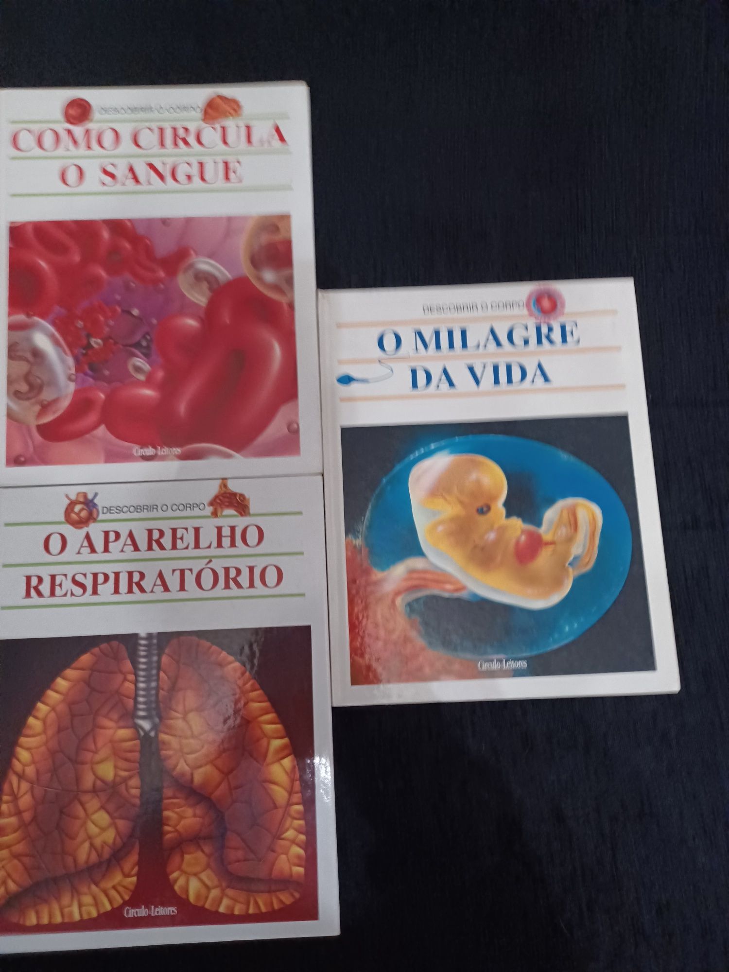 Coleção livros - Descobrir o corpo