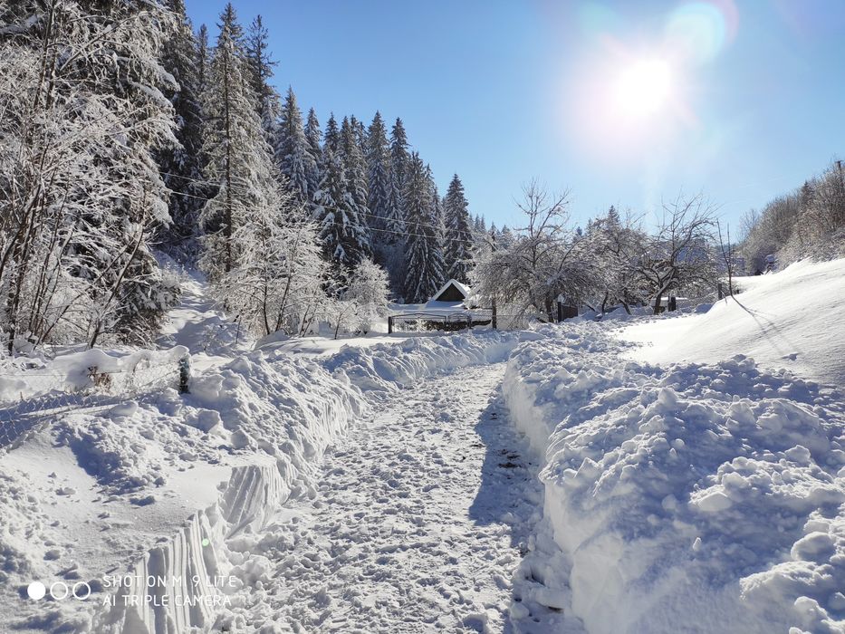 Оренда житла, будинку. Новий Рік. Відпочинок. Садиба Карпати Микуличин