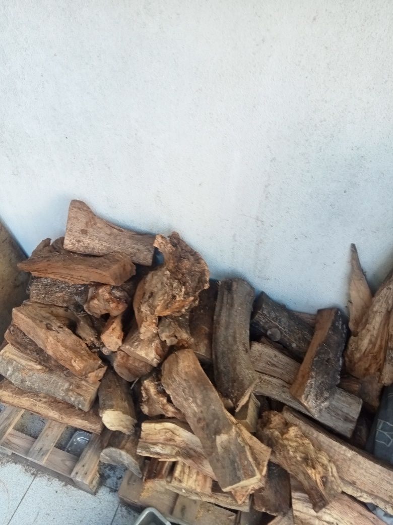 Lote de lenha sobro seca