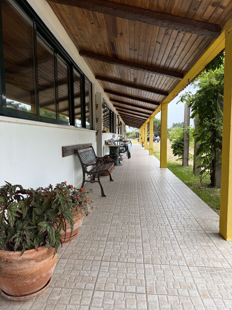 Quinta no Centro de Mira com 10.000 m² – Oportunidade Única!