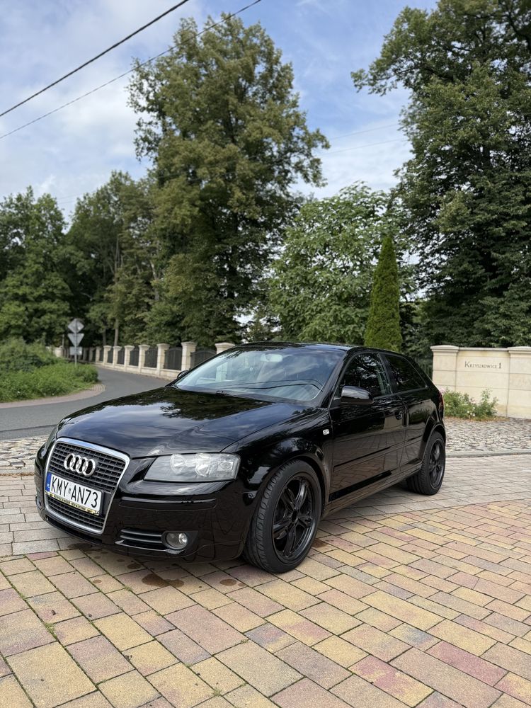 Audi A3 8P 3D 1.9 TDI