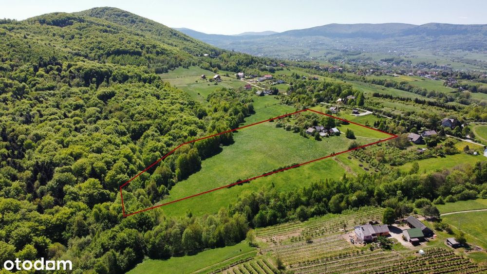 Widokowa działka z lasem 4ha w Raciechowicach