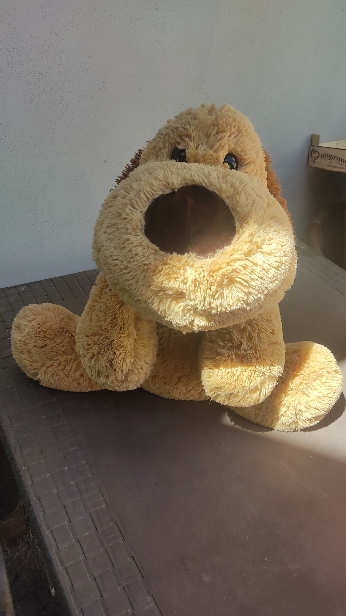 Peluche      cão