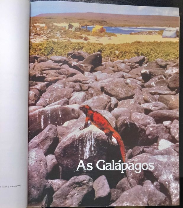 O Mundo Submarino de Jacques Costeau - vol 1 e 2 - portes incluídos