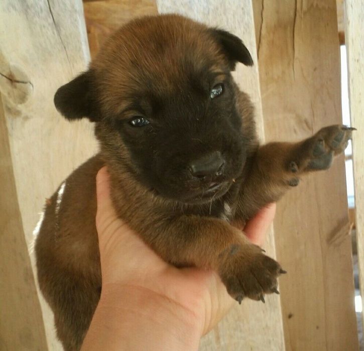 Маленьке сонечко чекає на вас