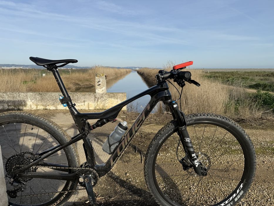 Coluer Stake carbono