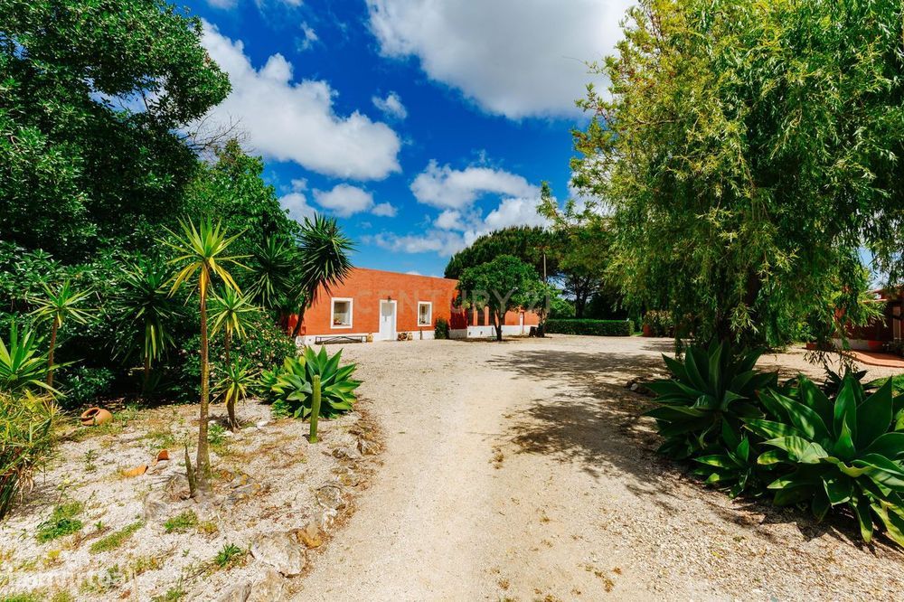 Monte Alentejano na Zambujeira do Mar - 82 ha
