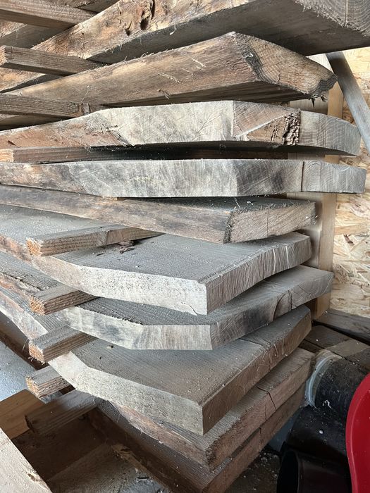 Foszty dąb bezszypułkowy