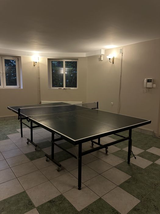 Profesjonalny stół do ping ponga / tenisa stołowego