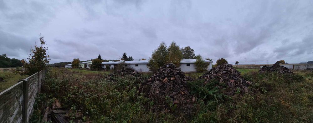 HALA Produkcyjno-Hodowlana-Magazyn