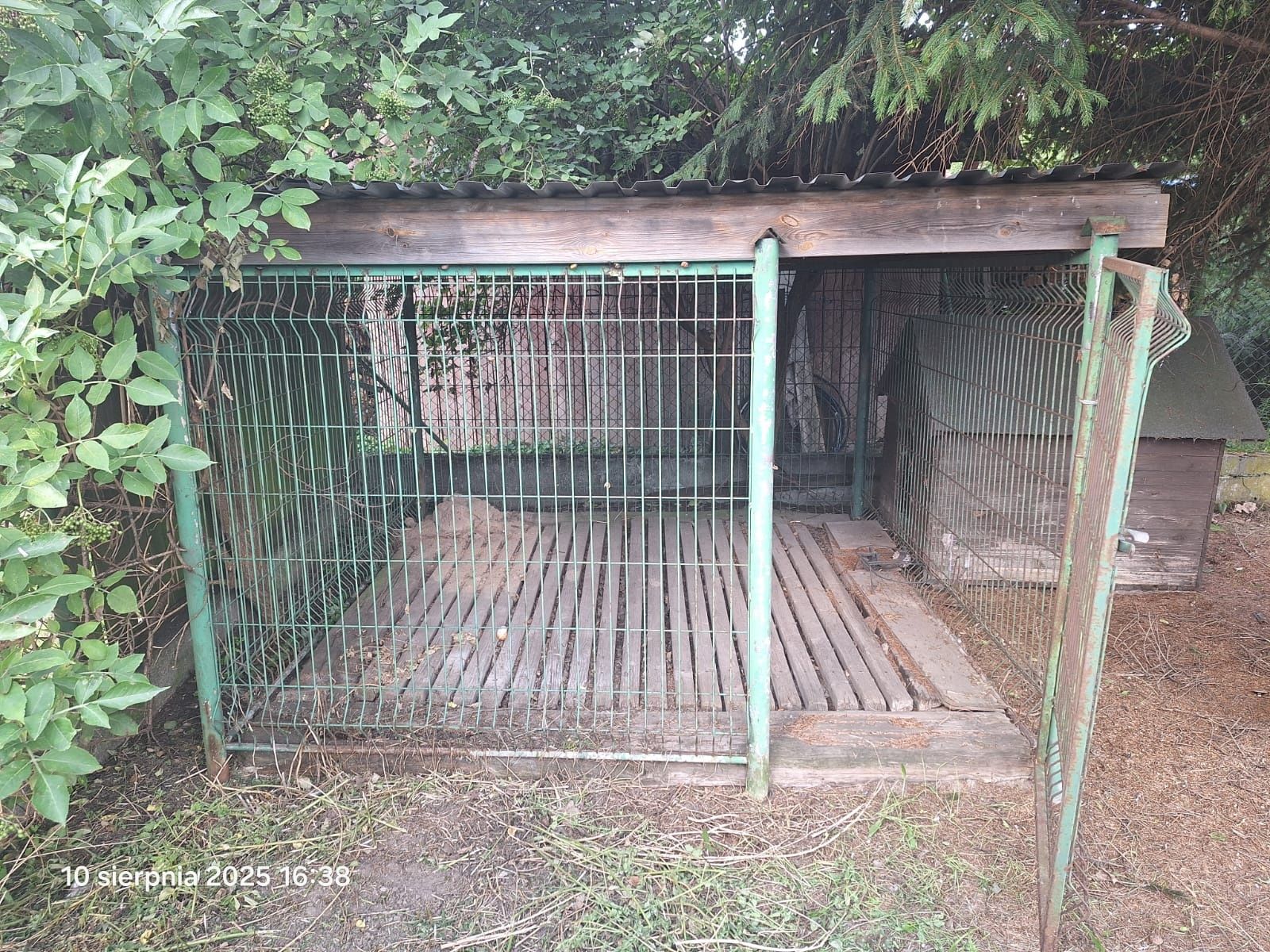 Kojec dla psa, używany