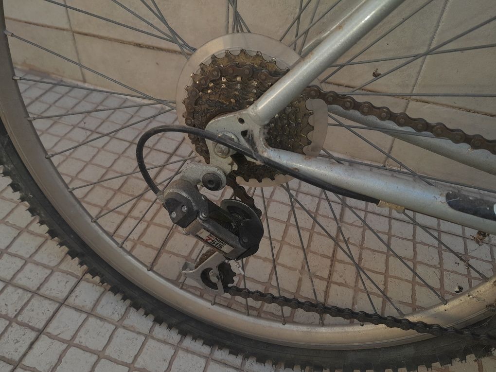 Bicicleta antiga