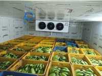 Холодильна камера для фруктів 0 + 2 °C Одеса, Чорноморськ