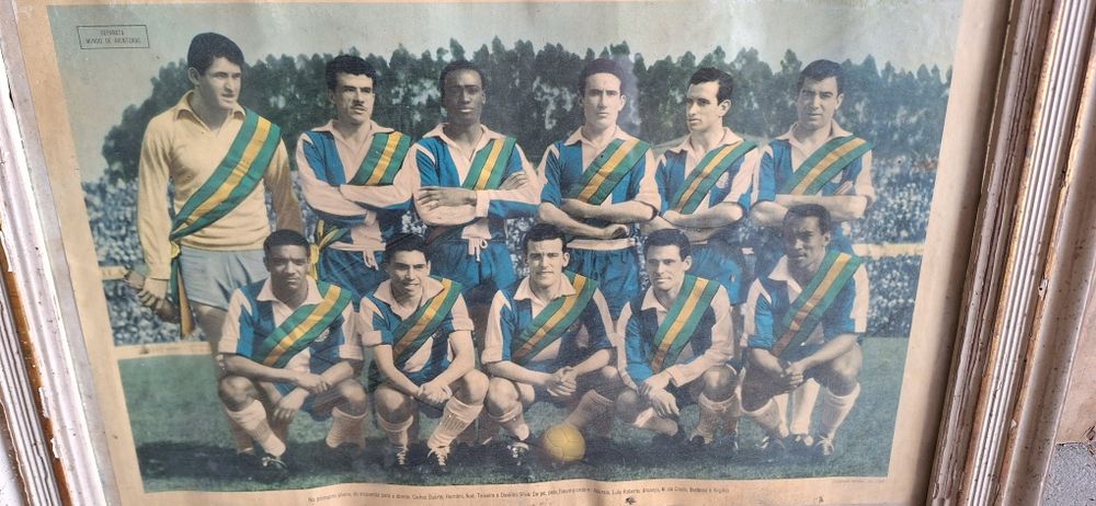 Quadros F.C.P coleção