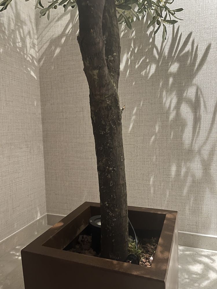 Árvore Oliveira Artificial