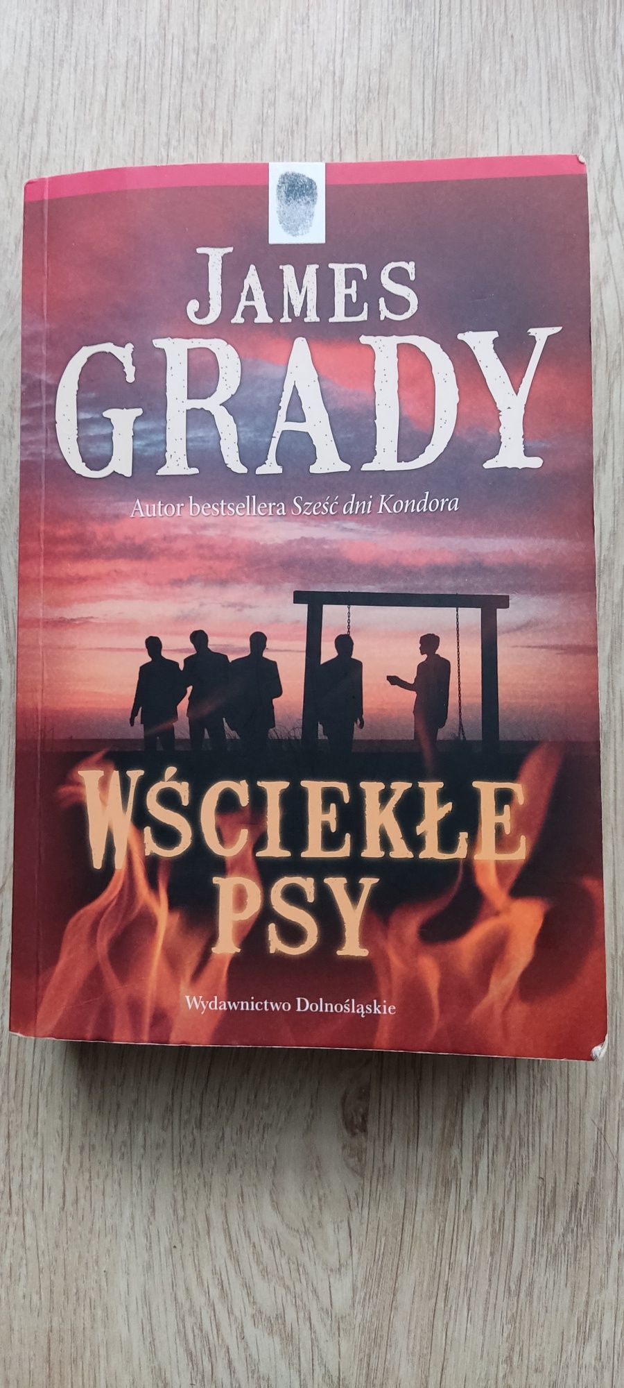 Książka,,Wściekłe psy"James Grady