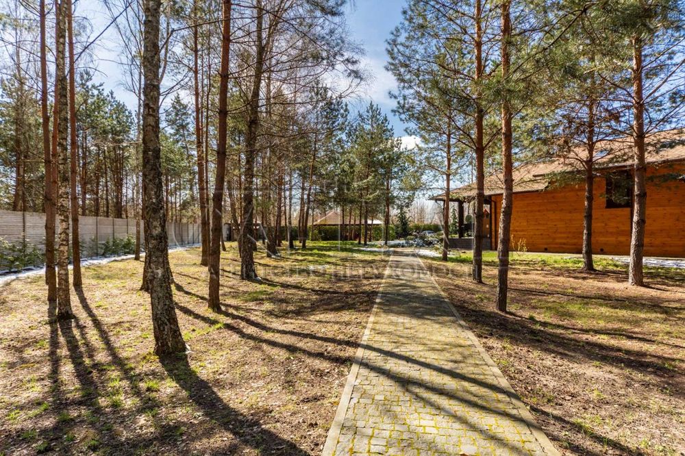 Продаж будинку, Партизанська , Забуяння