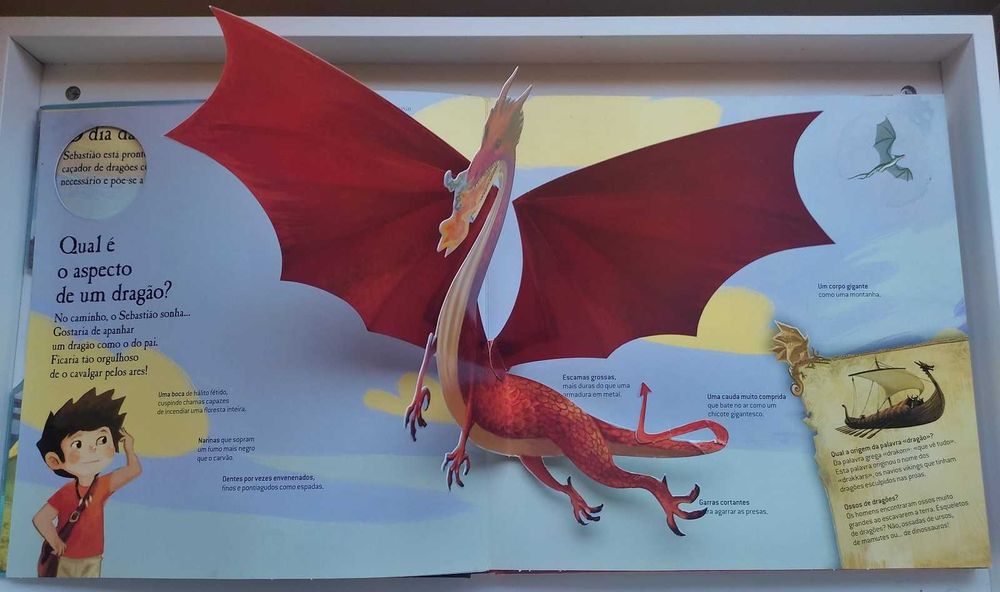 Livro infantil "Os dragões"