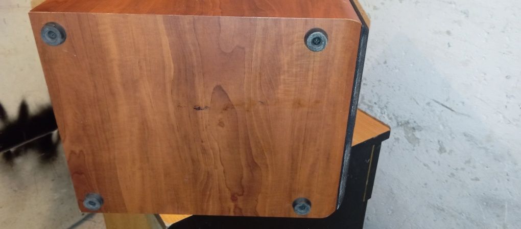 Subwoofer Magnat Monitor Sub 200A