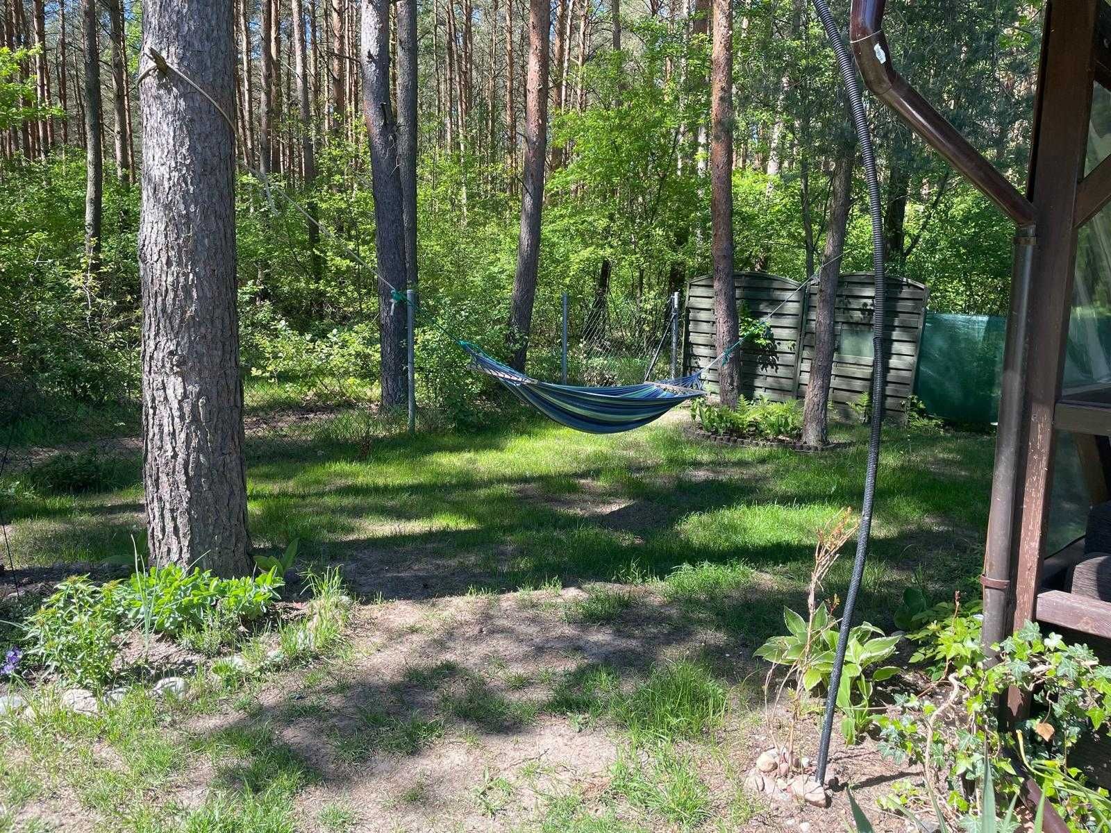 Domek  z tarasem przy lesie w Rowach - 600 m do plaży
