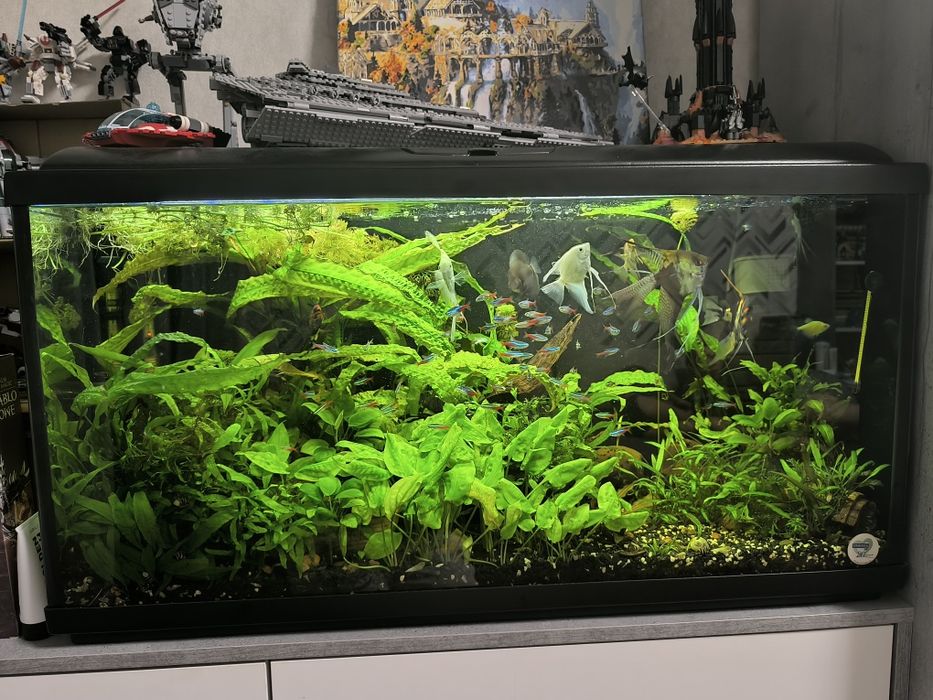 Аквариум природа 200л