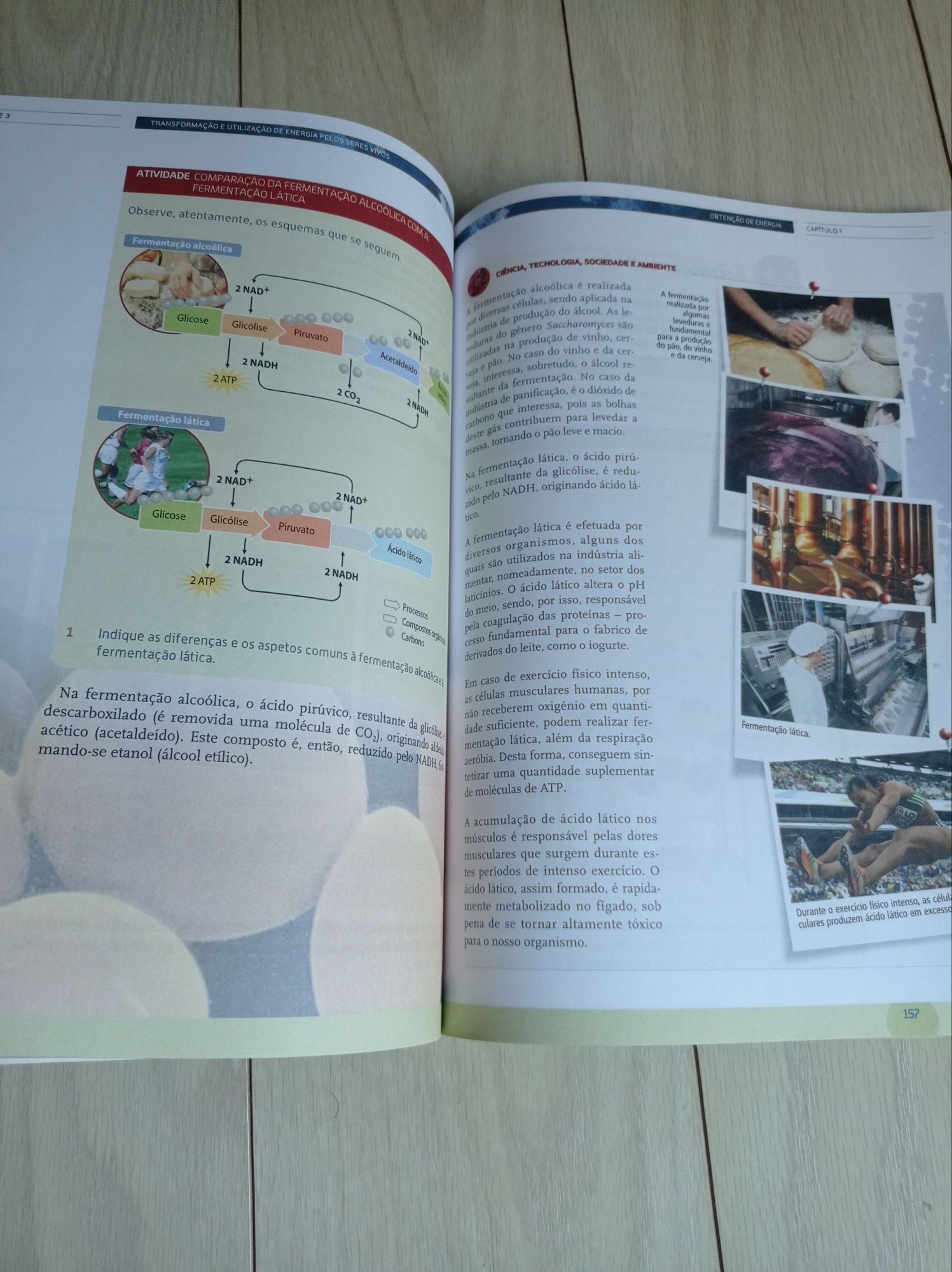 Manual Biologia 10* ano, Areal editores