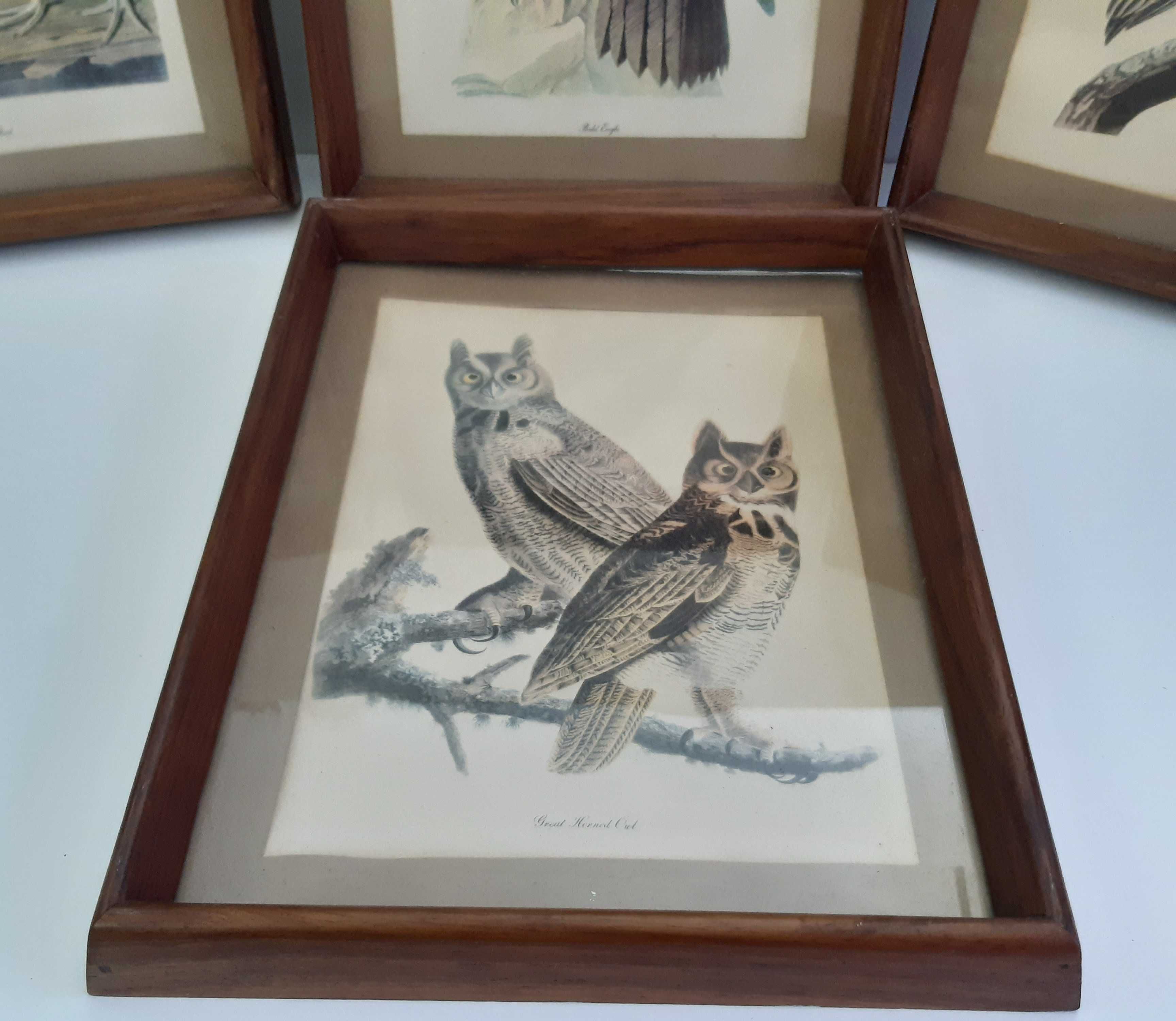 Retro Vintage Antigo 4 Quadros Molduras Madeira Lindas Gravuras Aves