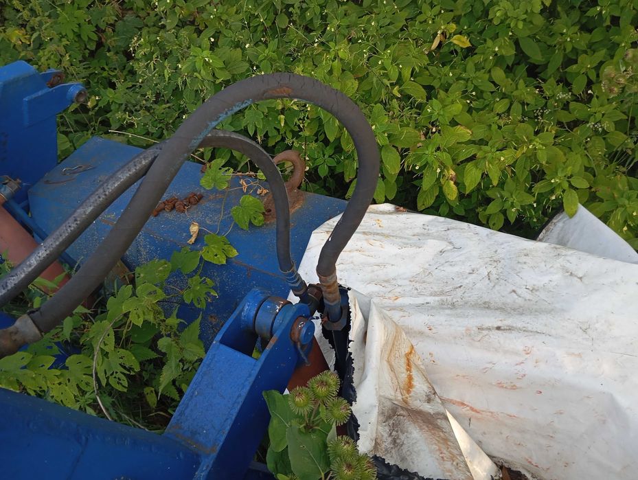 Продам кун вакула