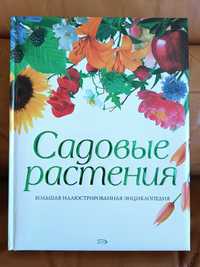 Большая иллюстрированная энциклопедия Садовые растения ландшафтный