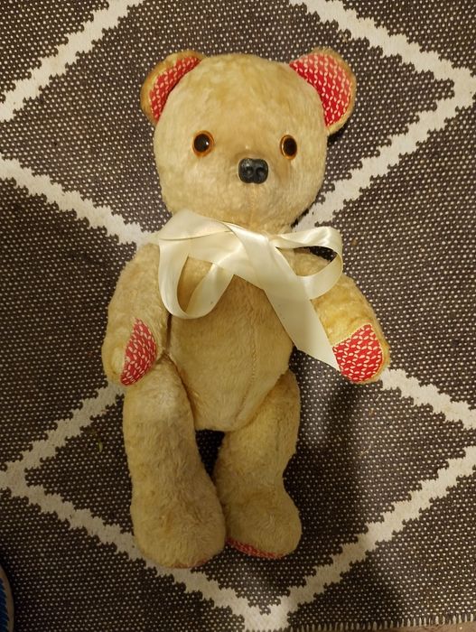 Miś Teddy ,trociniak