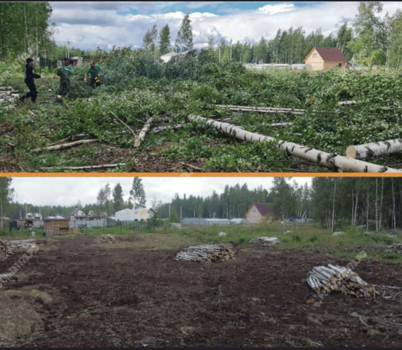 Очистка участка, Покос травы, Спил дерев и веток, Вывоз мусора.