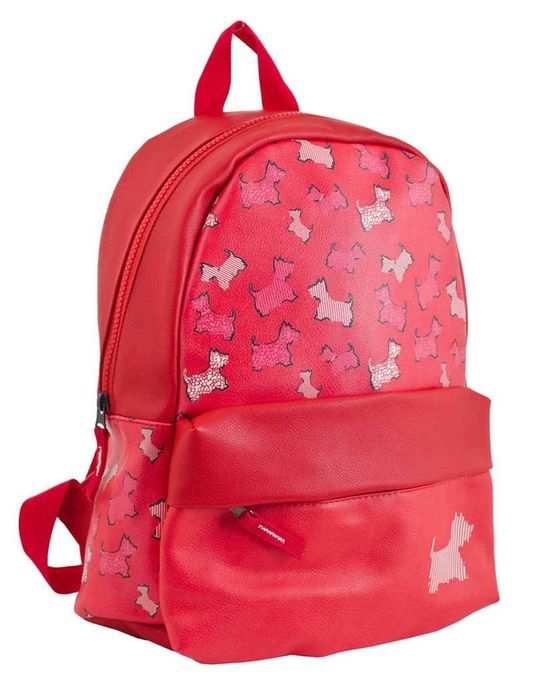 Підліткові невеликі рюкзаки YES для дівчат
