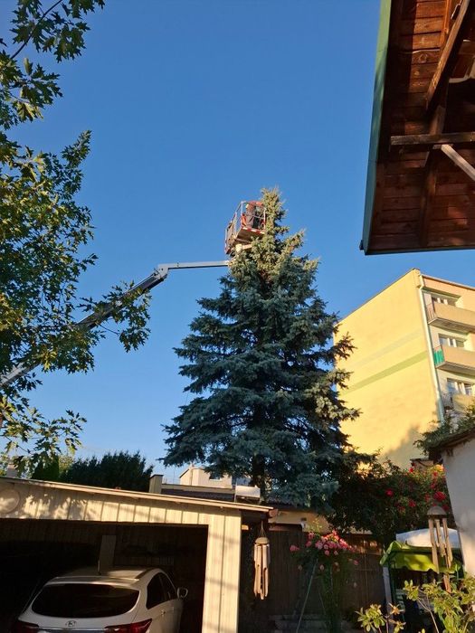 Profesjonalne usługi podnośnikiem koszowym – Włocławek i okolice