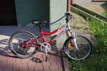 Rower Unibike Pilot