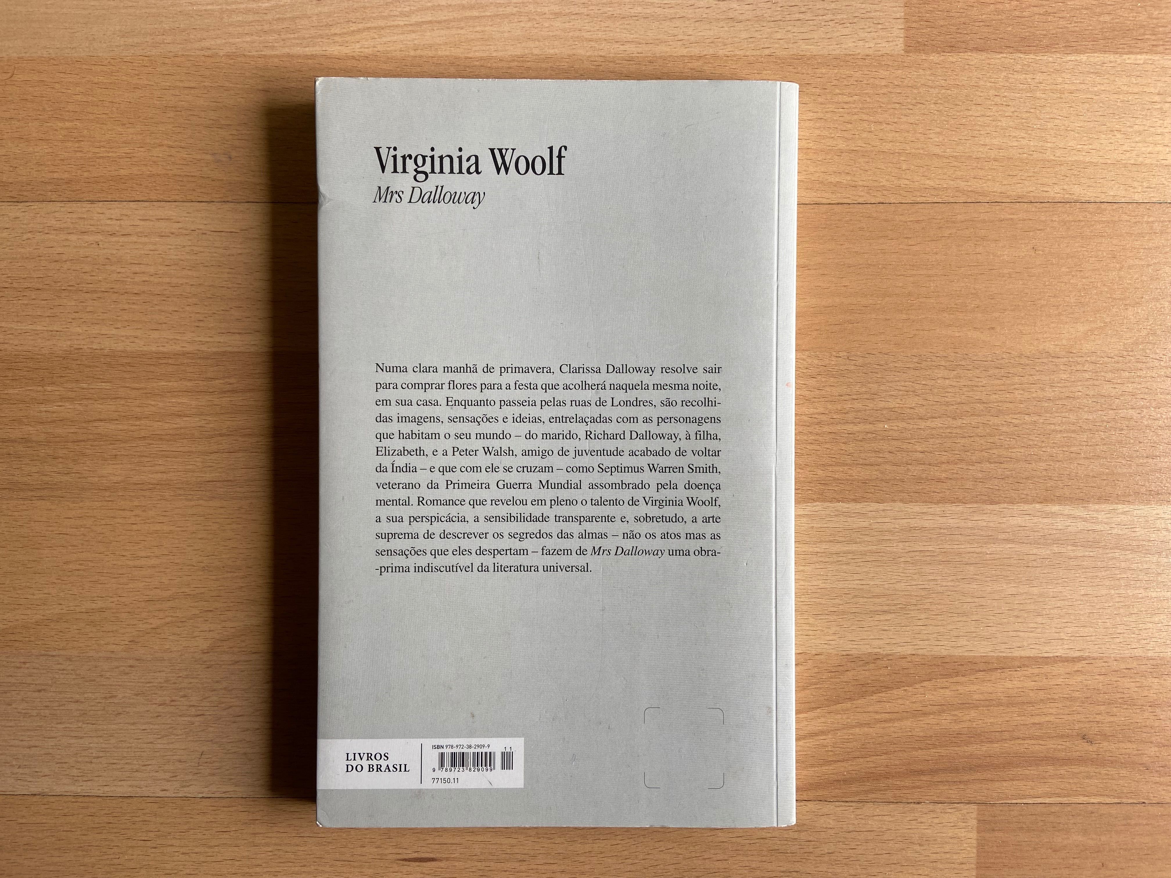 Livro Virginia Woolf