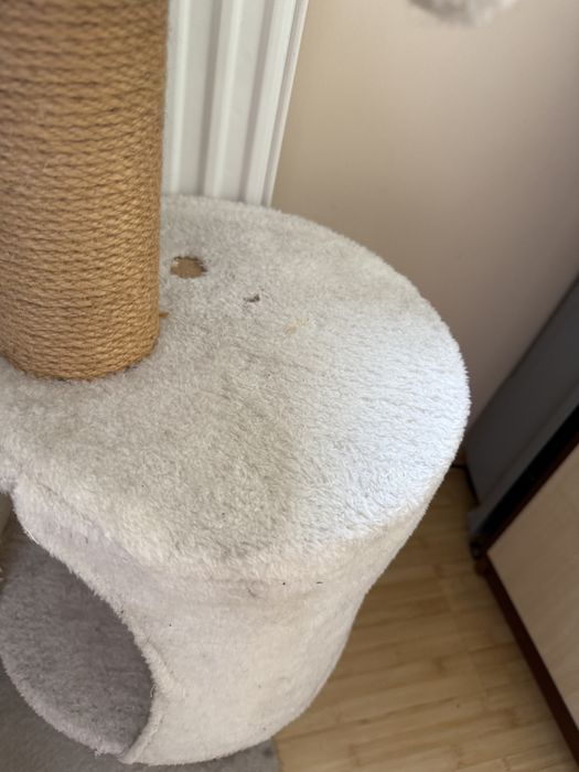 Wysoki drapak dla kotów