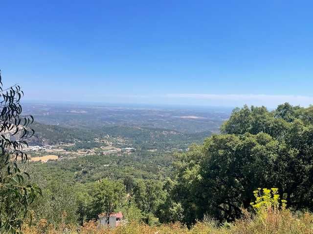 Terreno na Foia, Monchique