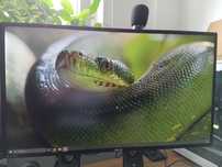 Monitor Asus PB328Q 32 cale 2560x1440