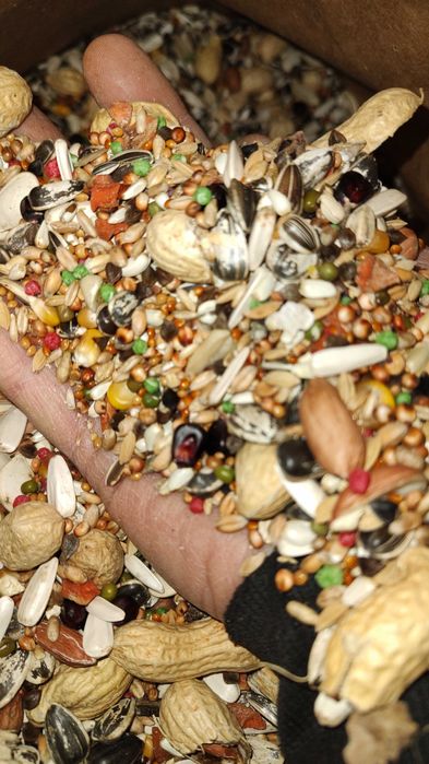Karma dla Papug średnich + Papug Dużych 20 kg kampol