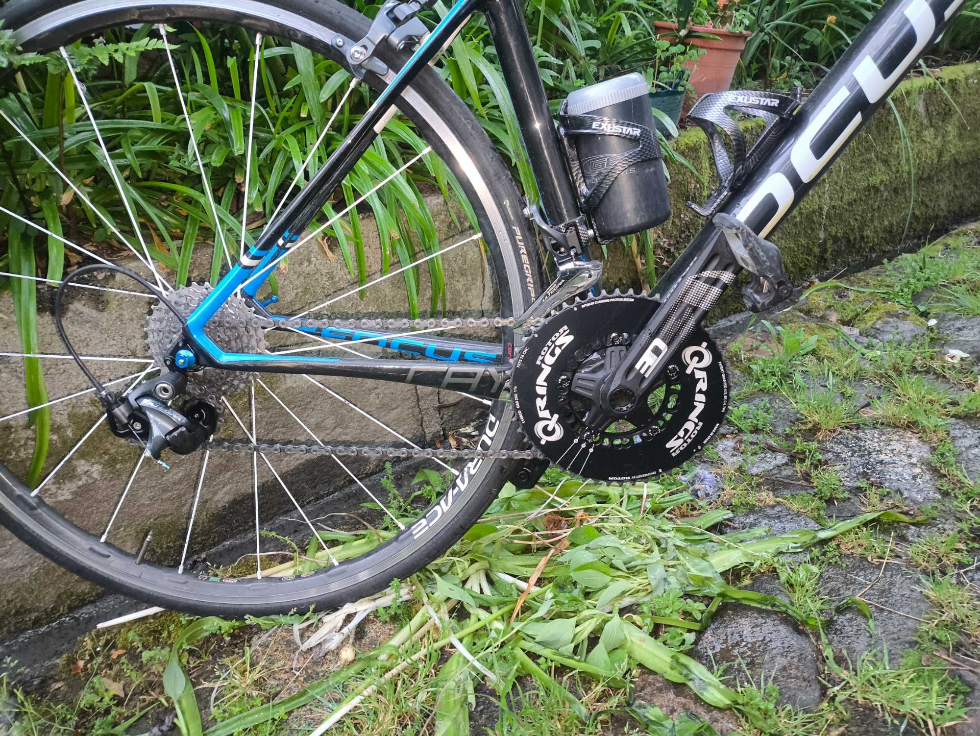 Focus Cayo Ultegra