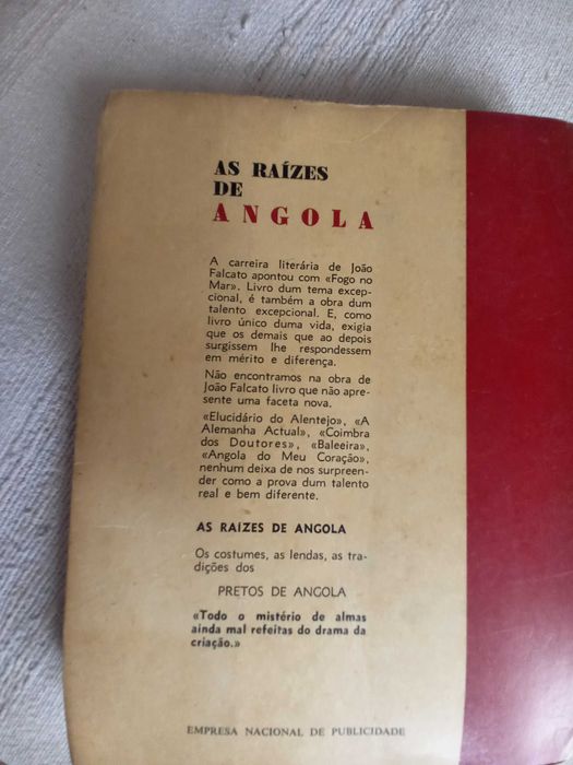 Livro de João Falcato Raízes de Angola