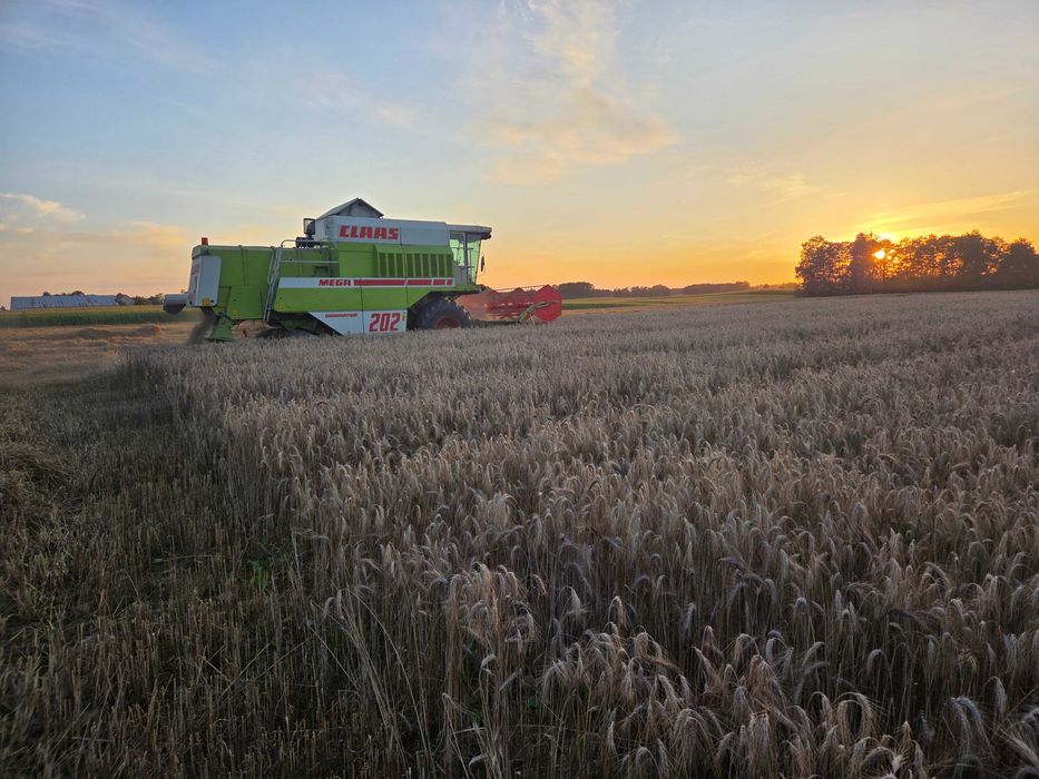 Import Claas mega 202.204.208 4.5 m heder .brutto .kredyt w akcji