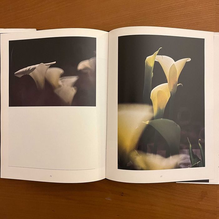 Raúl Constâncio / David Mourão-Ferreira - Do Fulgor das Flores