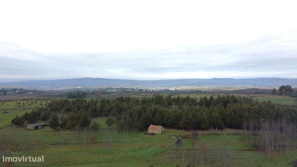 Quinta  Venda em Melo e Nabais,Gouveia
